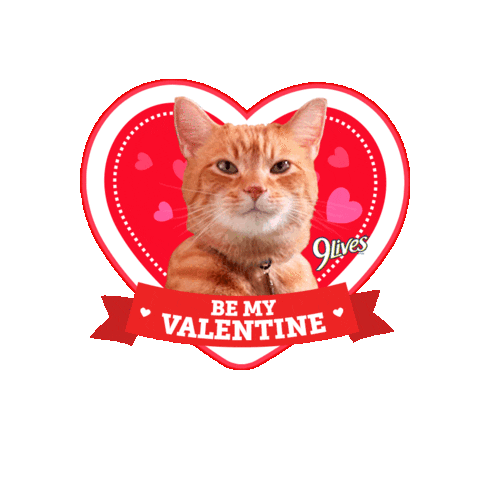 Valentines Day Wink Sticker by Morris the 9Lives Cat