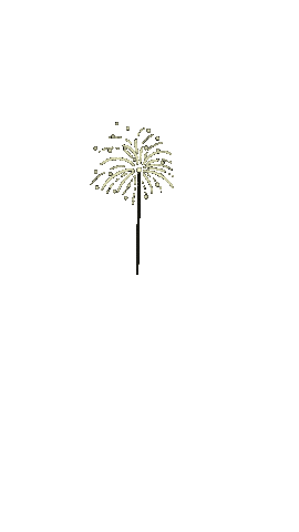 Star Sticker