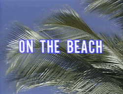 Palm Trees Summer GIF