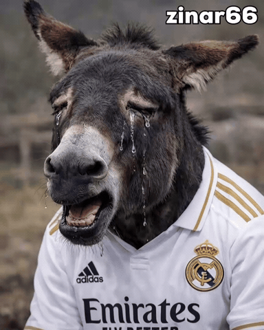 Real Madrid Crying GIF