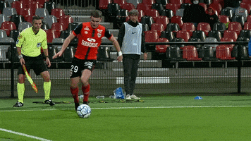Grenoble GIF by EA Guingamp
