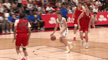 Cant Believe Indiana Pacers GIF by NBA