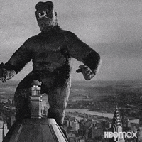 Black And White GIF by HBO Max