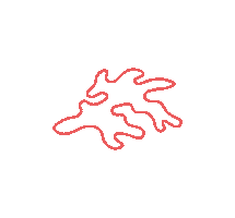 Coral Studio Sticker
