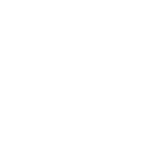 Fast Shipping Sticker