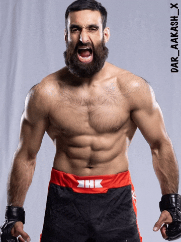 Martial Arts Ufc GIF