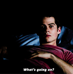 started from the bottom