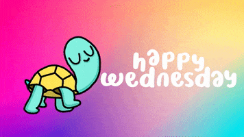 Happy Wednesday GIF by Digital Pratik