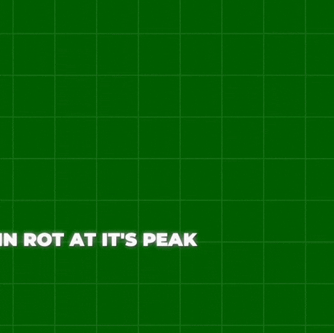 Brainrot GIF