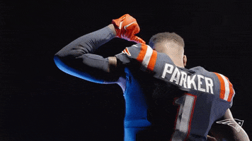 Devante Parker Sport GIF by New England Patriots