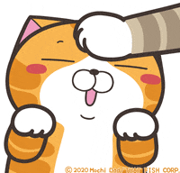 Mochi Mochi Peach Cat Gifs Get The Best Gif On Giphy