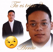 French Meme GIF