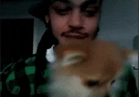 Fall Out Boy Joetrick GIF