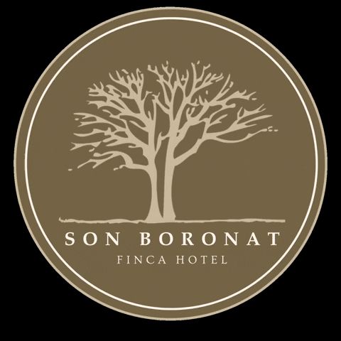 Son Boronat GIF