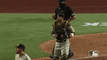 Happy Mlb GIF by San Diego Padres