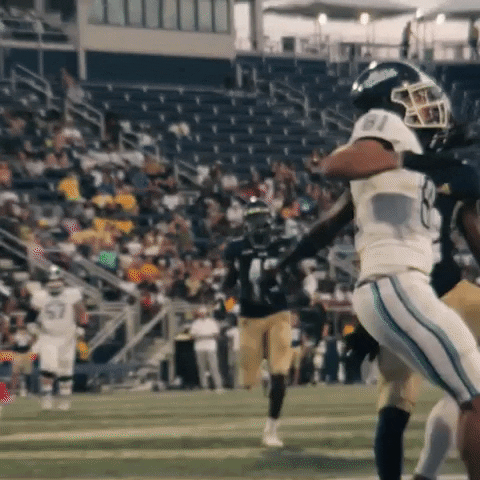 Fiu Football GIF by FIU Panthers