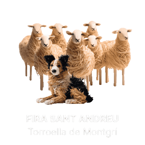 Sant Andreu Sticker by Torroella de Montgrí, l'Estartit, Illes Medes