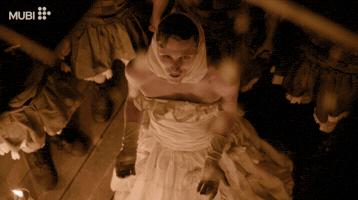Film Cinema GIF by MUBI