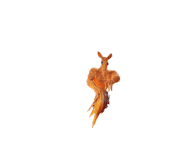 Holofit Sticker