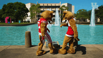Houston Cougar Athletics GIF