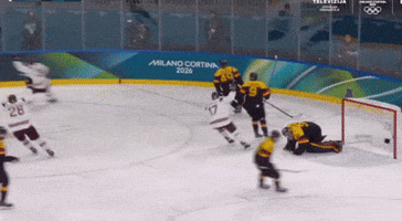 Detroit Red Wings GIF