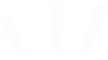 White Sticker