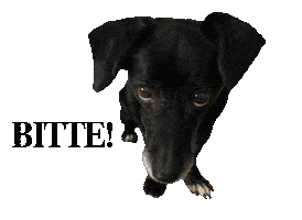 Leca Hundeblick Sticker by helpinganimalsromania