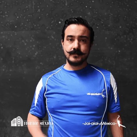 FrontonMX sierra jaialai frontonmexico cestapunta GIF