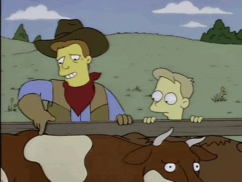 gif used in post