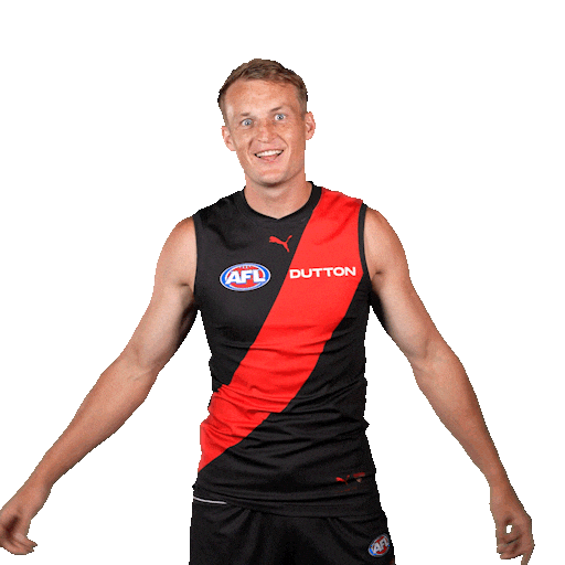 Red Dog Football Sticker by Essendon FC
