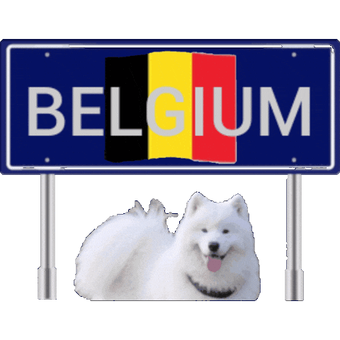 Europe Belgium Sticker