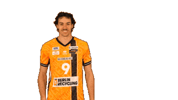 Volleyball Berlin Sticker by BR Volleys