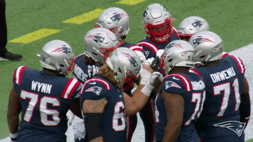All In Reaction GIF by New England Patriots