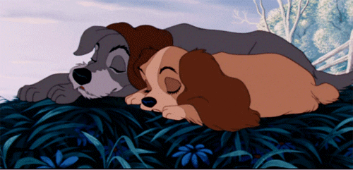 Lady and the Tramp Love Quotes
