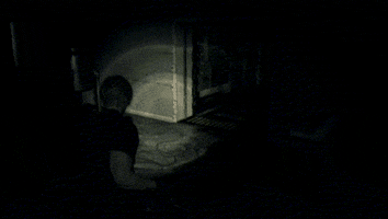 Re4 GIF