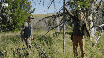 Bobby Bones Sheep GIF by National Geographic Channel