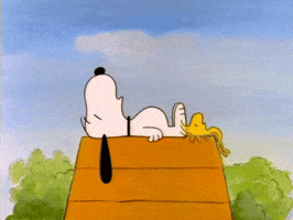 200.gif?cid=f0bdee70zntjige9go3cwfpqvfxp8hqau8wk5ssbps9vxj50&rid=200.gif&ct=g