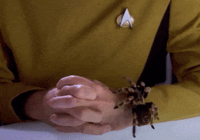 Startrek GIF