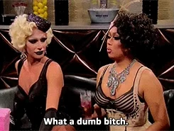 ann coulter ignorance GIF