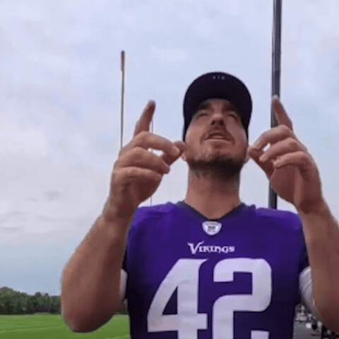 Minnesota Vikings GIF