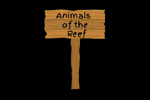 Allen Coral Atlas GIF