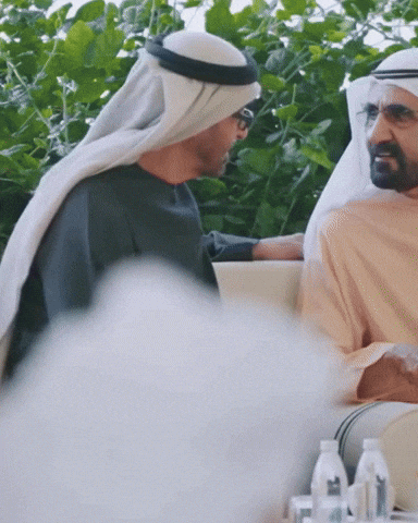 Wisdom GIF