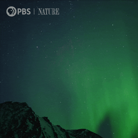 Northern Lights Space GIF by Nature on PBS
