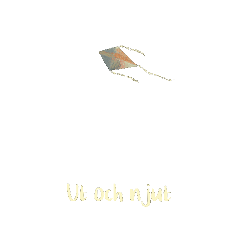 Kite Hälsa Sticker by Folkhälsan