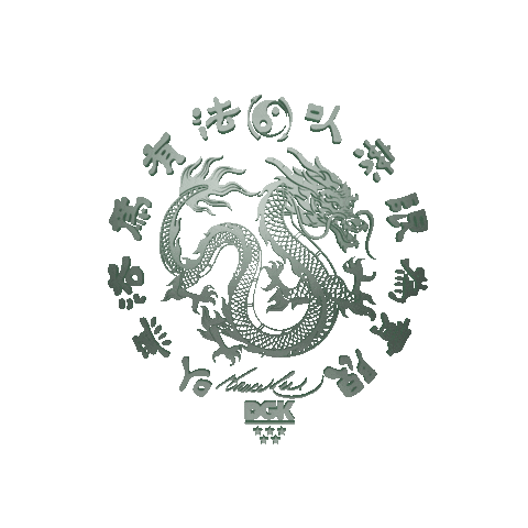 Kung Fu 3D Sticker by dgk