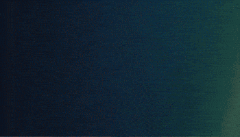 Rauwbus GIF by RAUWcc