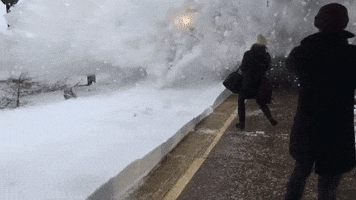 fedeaikawa  GIF