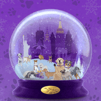 Christmas Holiday GIF by Westminster Kennel Club
