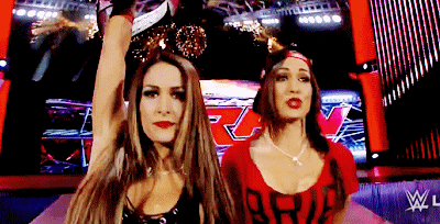 Картинки по запросу Brie Bella NIKKI