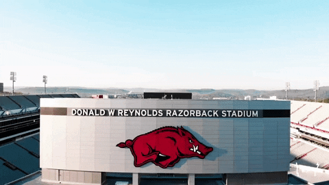College Football Hogs GIF by Arkansas Razorbacks - Find & Share on GIPHY